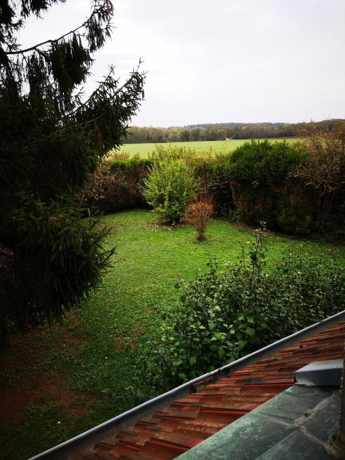 Domaine De La Borde Damparis Exterior foto